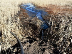 Водитель ассенизатора раздавил авто активиста в Волгограде, заметая следы 