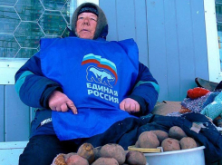 26 мая в Волгограде единороссы объявили днем демократических выборов