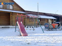 Саратовские эксперты запросили для проведения экспертизы по сносу «Соснового бора» 234 тысячи