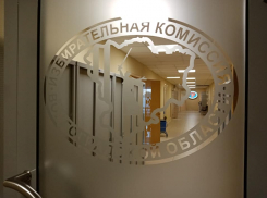 От юного пенсионера до юристов: в Волгограде раскол в «ЕдРе» привёл к выдвижению местных кандидатов на выборы в Госдуму