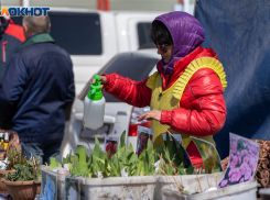 Дефицит работников сельского хозяйства признали в Волгограде 