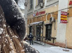 Люди отплевываются от снега, собак заносит: Волгоград накрыла суровая метель