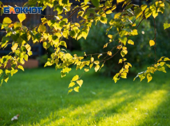 Последнее воскресенье сентября балует волгоградцев