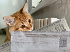 Инструкция для волгоградцев: что делать, если в квитанции завысили плату за отопление?