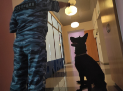 В редакции «Блокнота Волгограда» снова ищут бомбу