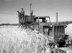 17 июня 1944 год – Возрожденный СТЗ выпустил первый трактор