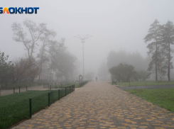 Жители Волгограда не видят поводов радоваться жизни в своем городе