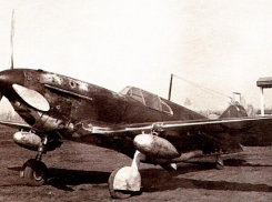 Под Волгоградом поисковики попытаются установить личность летчика найденного советского истребителя