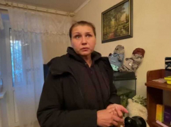 В Волгоградской области чиновники обязали женщину содержать летучую мышь