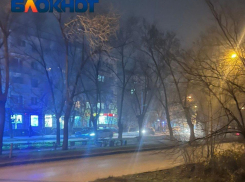 «Ждем астму?»: на воняющий гарью туман жалуются волгоградцы 
