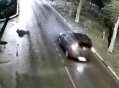 Под Волгоградом иномарка насмерть сбила инвалида 