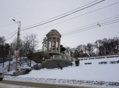 Варламов высмеял волгоградских чиновников из-за пересадки елей на набережной
