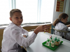 Более 43% волгоградских родителей отправят детей в школу несмотря на возможность дистанционного обучения