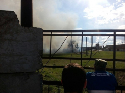 Под Волгоградом сгорел хлебоприемный пункт 