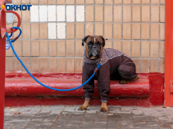 Двухдневные 5-градусные морозы ударят по Волгоградской области 