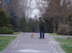 Налог на выгул собак могут ввести в Волгограде: «Правильно, пусть платят»