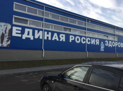Волгоградская «Единая Россия» разместила свою рекламу на фоне безголового бодибилдера