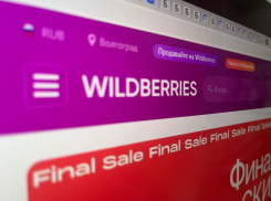 Всероссийская забастовка Wildberries провалилась в Волгограде