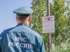 Облаву провели на диких пляжах в Волгограде