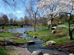 Синоптики обещают, что этой весной волгоградцы больше не увидят снега