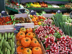 О фреш-маркетах с фермерской продукцией заговорил экс-вице-мэр Волгограда