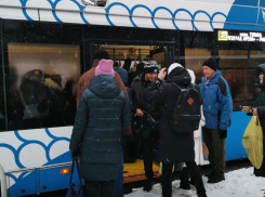 Толпа засыпанных ледяной крошкой волгоградцев штурмовала троллейбус