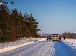 Под Волгоградом более 135 военных и полицейских ищут пропавшую девочку в новом районе