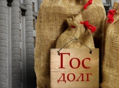 Волгоградская область за счет Минфина РФ сэкономит на долгах 245 миллионов рублей