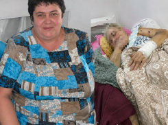 Случаем волгоградки с «усохшей» почкой заинтересовался Александр Бастрыкин