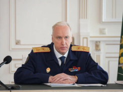 Бастрыкин обеспокоился жизнью Волгоградской глубинки