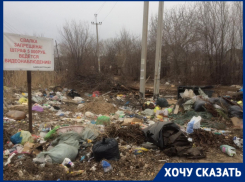 Мусор вдоль дорог и крысы: как поселок под Волгоградом за год стал громадной свалкой