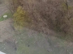 Снег прошел в Волгограде под конец апреля – видео