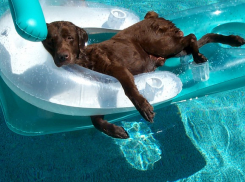 До 30 ºС потеплеет в Волгоградской области к началу лета