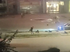 Под Волгоградом бездомная собака покусала девушку 