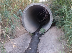 Элитный район Волгограда загубил отходами местный пруд