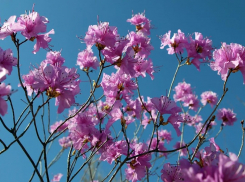 В Волгограде будет солнечно и тепло