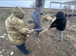 Подвесили за ногу и запытали до смерти сторожа в Волгоградской области