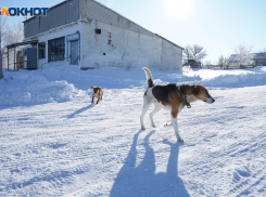 «Заносит и нет песка»: трассу смерти сняли на видео под Волгоградом