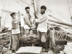 Какую рыбу как огня боялись жители Царицына