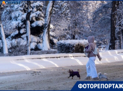 «Настоящая зима!»: утро завораживающей красоты наступило для волгоградцев 