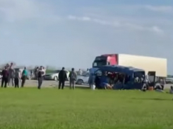 Погибли шесть 13-летних девочек: подробности жуткой аварии баскетбольной команды из Волгограда