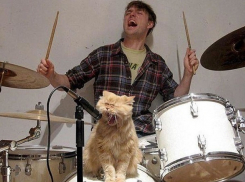 Волгоградцы больше всего любят слушать Ирину Дубцову, Serebro и «Ленинград»