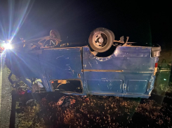 Стали известны подробности о погибшем и пострадавших в смертельном ДТП с машруткой под Волгоградом