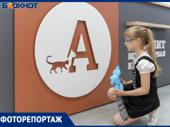Новая большая ветеринарная клиника «Айболит» открылась в Волгограде на Семи Ветрах