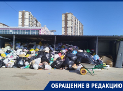 Заложниками мусорного коллапса стали жители улицы Морозова в Волгограде 