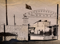 От хутора до города: история 277-летнего Суровикино, названного в честь первопоселенцев 