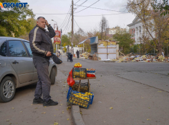 Проблему с кадровым голодом официально признали в Волгограде