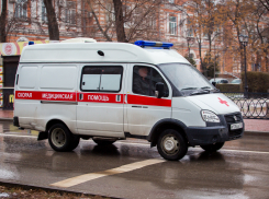 Волгоградку госпитализировали с травмами от упавшего тополя