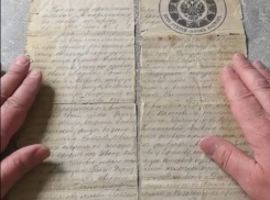 Уникальные документы 130-летней давности показал волгоградский краевед