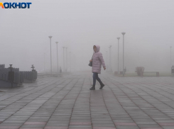 До +7 потеплеет в Волгограде после морозной ночи